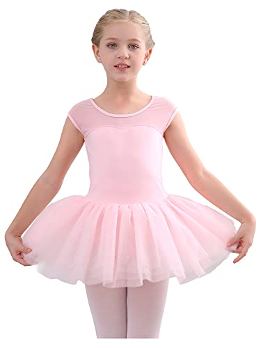 Girls Ballet Leotards Dance Skirt Dress Outfit (Toddler/Little Kid/Big Kid)-Ballet Dress-ridibi