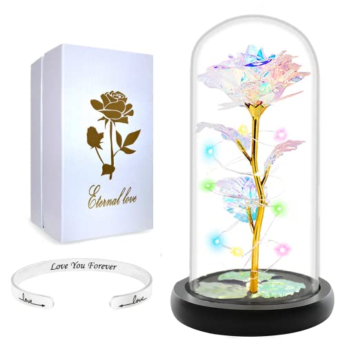 Mothers Day Glass Galaxy Rose flower Mom Gifts from Daughter /Son,Birthday Gifts for Women, Mothers Day Rose light Glass Dome Gifts for Women Grandma Sister Wife Gifts, Mothers Day Presents for Mom-Back to results-ridibi