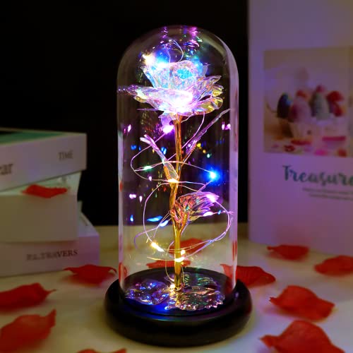 Mothers Day Glass Galaxy Rose flower Mom Gifts from Daughter /Son,Birthday Gifts for Women, Mothers Day Rose light Glass Dome Gifts for Women Grandma Sister Wife Gifts, Mothers Day Presents for Mom-Back to results-ridibi