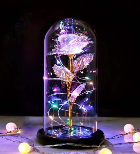 Mothers Day Glass Galaxy Rose flower Mom Gifts from Daughter /Son,Birthday Gifts for Women, Mothers Day Rose light Glass Dome Gifts for Women Grandma Sister Wife Gifts, Mothers Day Presents for Mom-Back to results-ridibi