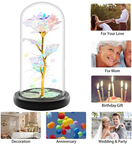 Mothers Day Glass Galaxy Rose flower Mom Gifts from Daughter /Son,Birthday Gifts for Women, Mothers Day Rose light Glass Dome Gifts for Women Grandma Sister Wife Gifts, Mothers Day Presents for Mom-Back to results-ridibi