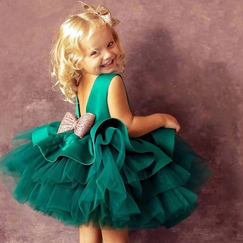 Baby Girl Dress - Party Wear 3 - 24m-Dress-ridibi