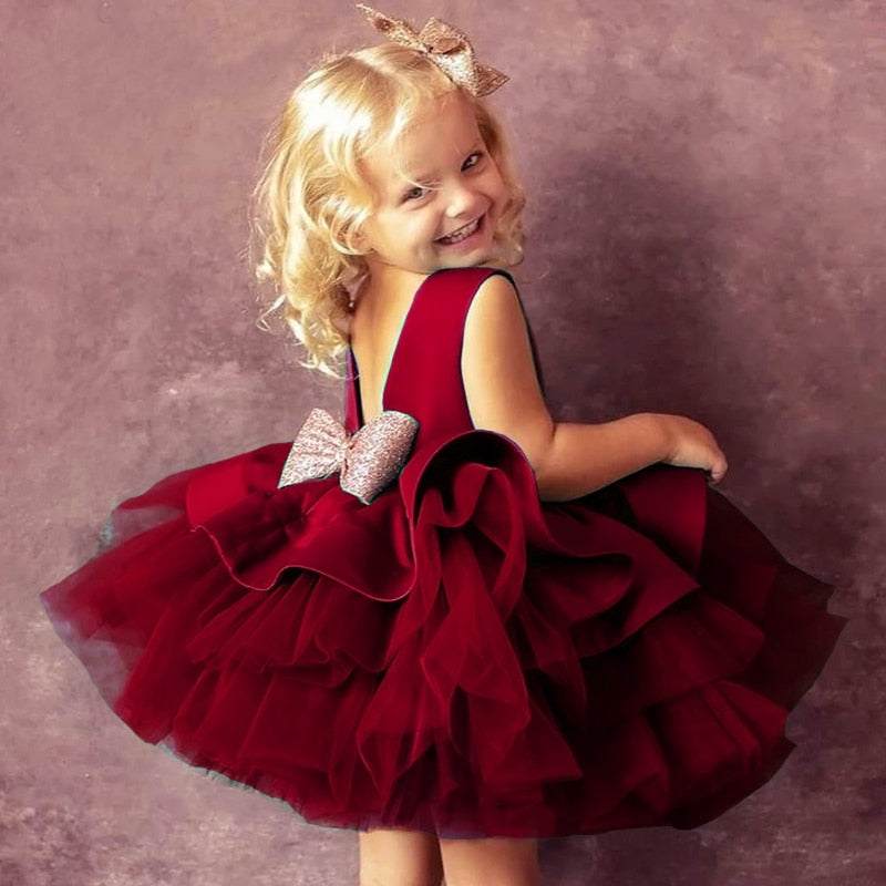 Baby Girl Dress - Party Wear 3 - 24m-Dress-ridibi