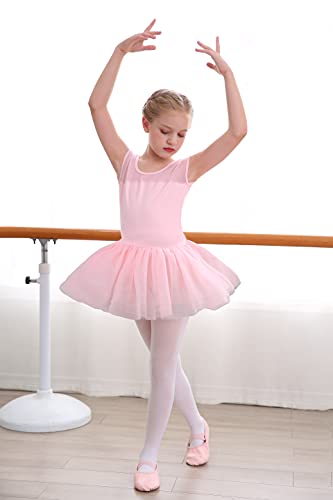 Girls Ballet Leotards Dance Skirt Dress Outfit (Toddler/Little Kid/Big Kid)-Ballet Dress-ridibi