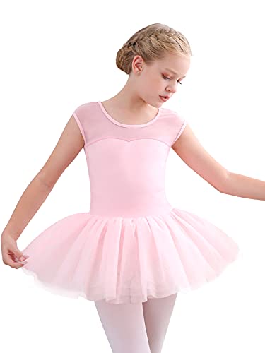 Girls Ballet Leotards Dance Skirt Dress Outfit (Toddler/Little Kid/Big Kid)-Ballet Dress-ridibi