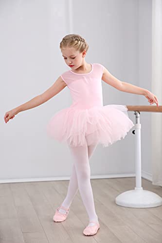 Girls Ballet Leotards Dance Skirt Dress Outfit (Toddler/Little Kid/Big Kid)-Ballet Dress-ridibi