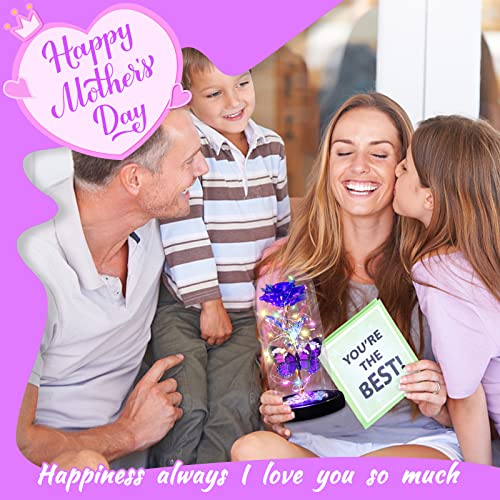 Great Mother's Day Rose Gifts for Mom Grandma Wife, Birthday Gifts for Women, Mothers Day Mom Gifts from Daughter Son, Enchanted Galaxy Roses Flower Gifts, Light Up Purple Rose Gifts for Her Women-Back to results-ridibi