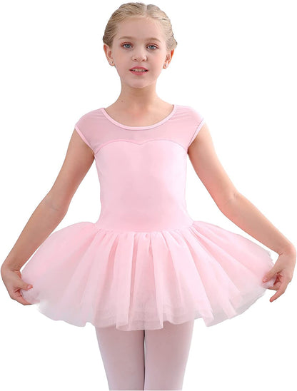 Girls Ballet Leotards Dance Skirt Dress Outfit (Toddler/Little Kid/Big Kid)-Ballet Dress-ridibi