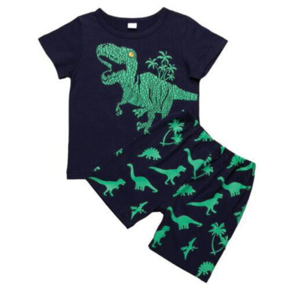 Toddler Baby Boys Summer Outfits Kids Short Sleeve Dinosaur T Shirts Tops Shorts Clothes for Boys Size 2T