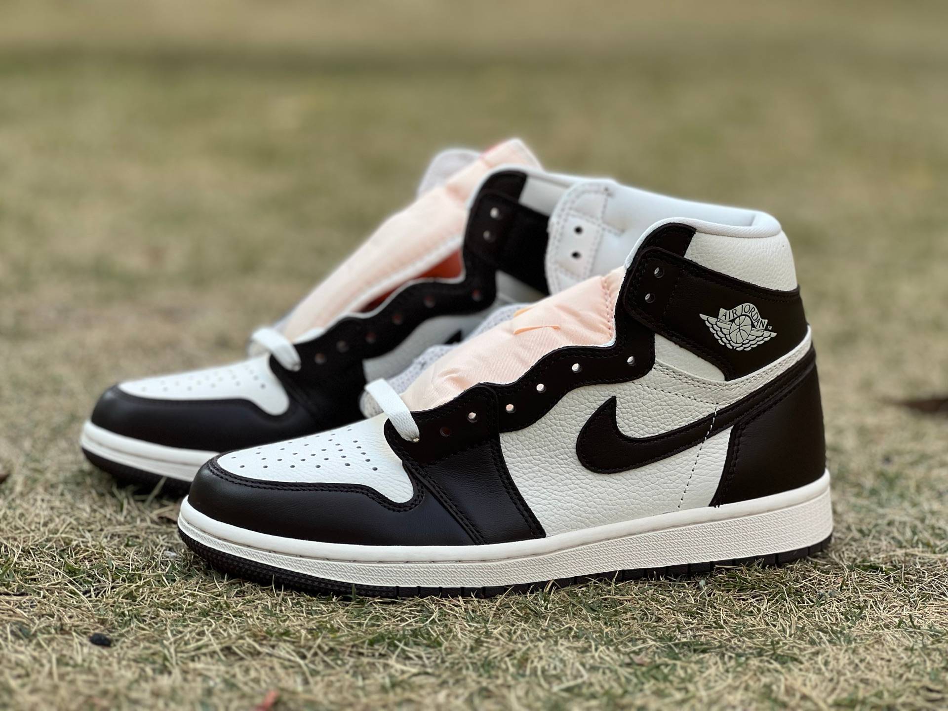 y aj1 Air Jordan 1 Hi OG Baroque Brown WMNS FD2596-200
