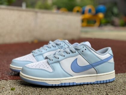 Dunk Nike Dunk Low DD1873-400