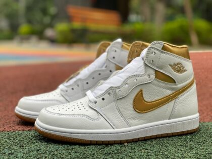aj1 Air Jordan 1 AJ1 FD2596-107