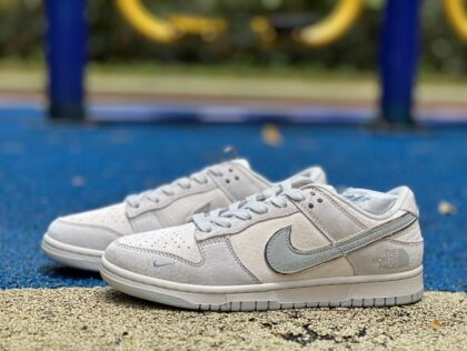 Dunk Nike Dunk x The North face DQ1098-338