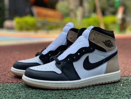 aj1 Air jordan 1 FD2596-021