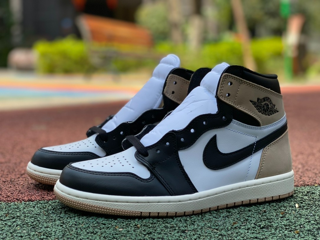 aj1 Air jordan 1 FD2596-021