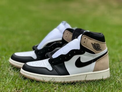 aj1 Air Jordan 1 High OG AJ1 FD2596-021