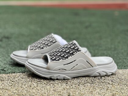 DIOR H-Town Oblique 39-46、30