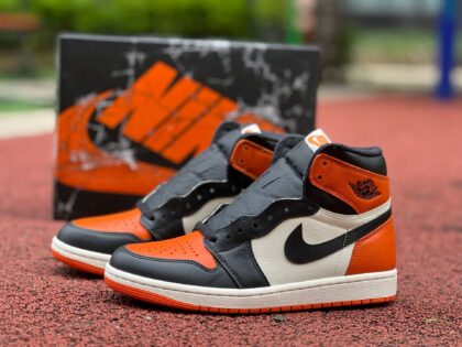 aj1 2025 dg Air Jordan 1 High OG Shattered Backboard DZ5485-008