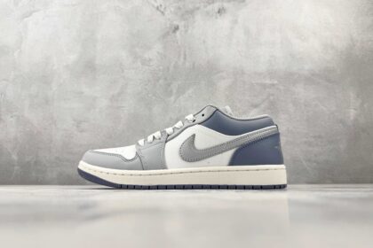 aj1 Air Jordan 1 SE CN IX5003-101