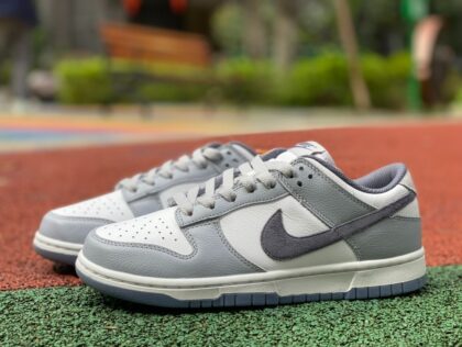 Dunk Nike Dunk Low FJ4188-100