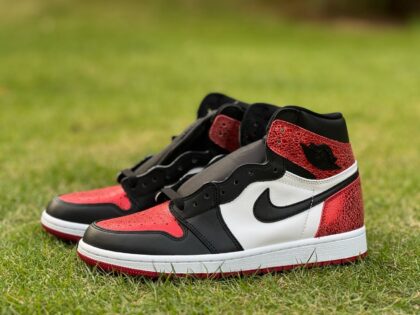 AJ1 Air Jordan 1 High FD2596-602