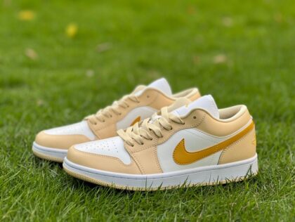 aj1 y Air Jordan 1 Low AJ1 DC0774-170