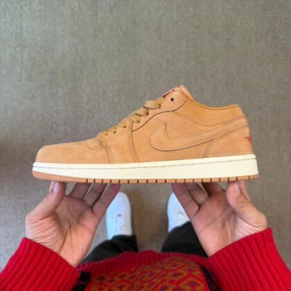 DF aj1 Air Jordan AJ1 Low   HV4089-200