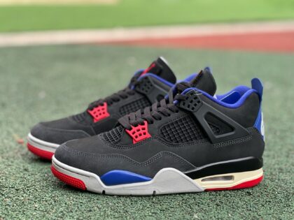 aj4 Air Jordan 4 Rare Air FV5029-003