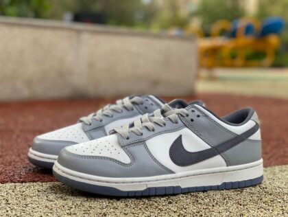 Dunk low NikeDunk Low FJ4188-100