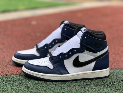 aj1 Air Jordan 1 AJ1 DZ5485-401