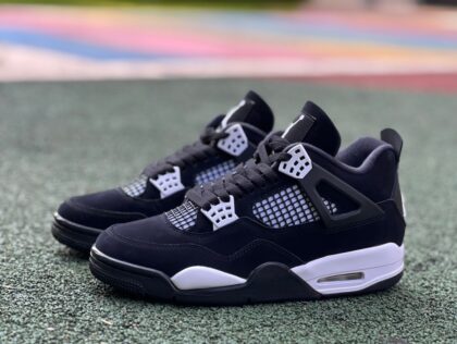 aj4 Air Jordan 4 AJ4 FQ8138-001