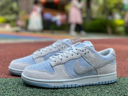 Dunk Nike Dunk Low FZ3779 025
